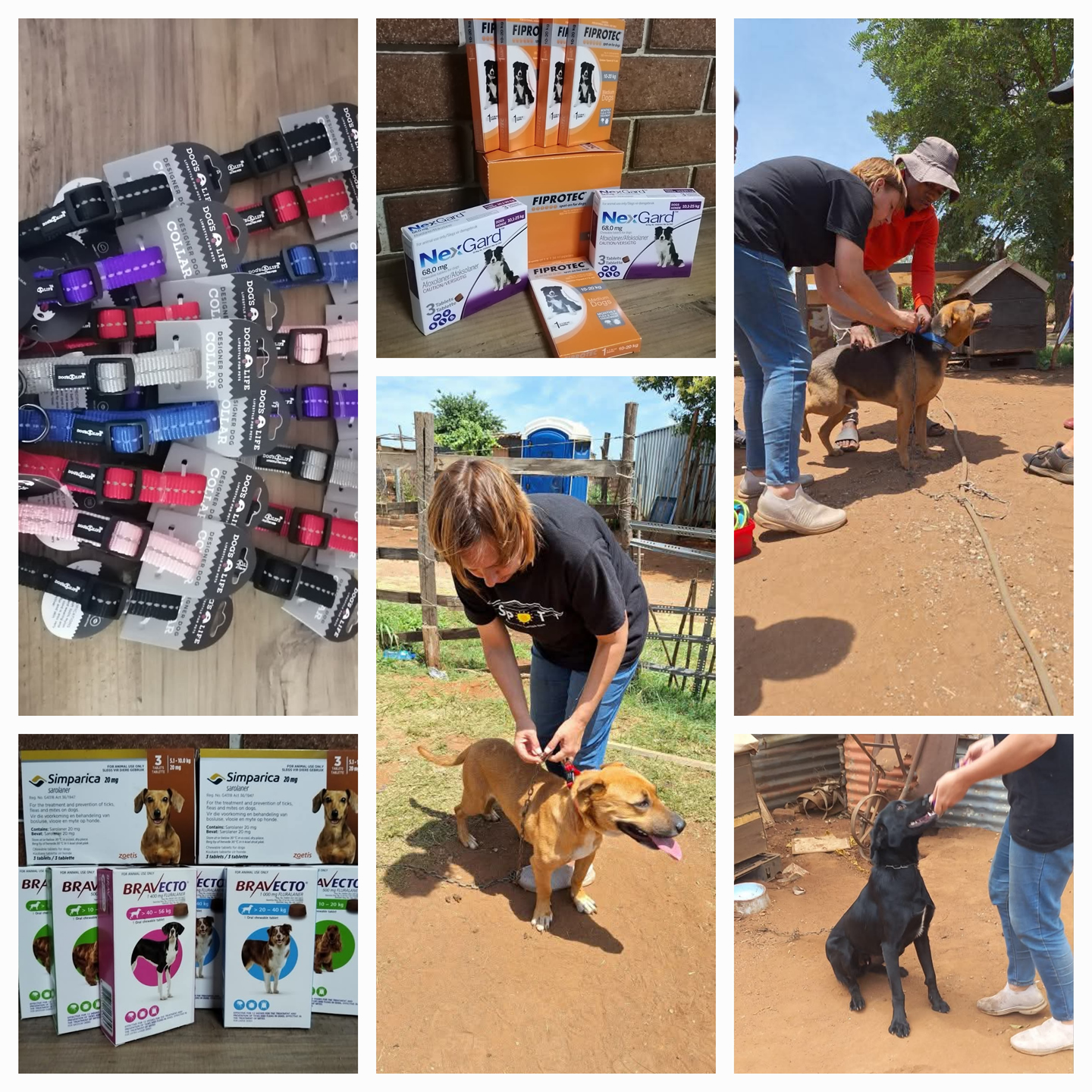 SPOT-Sunnys Pet Outreach Team